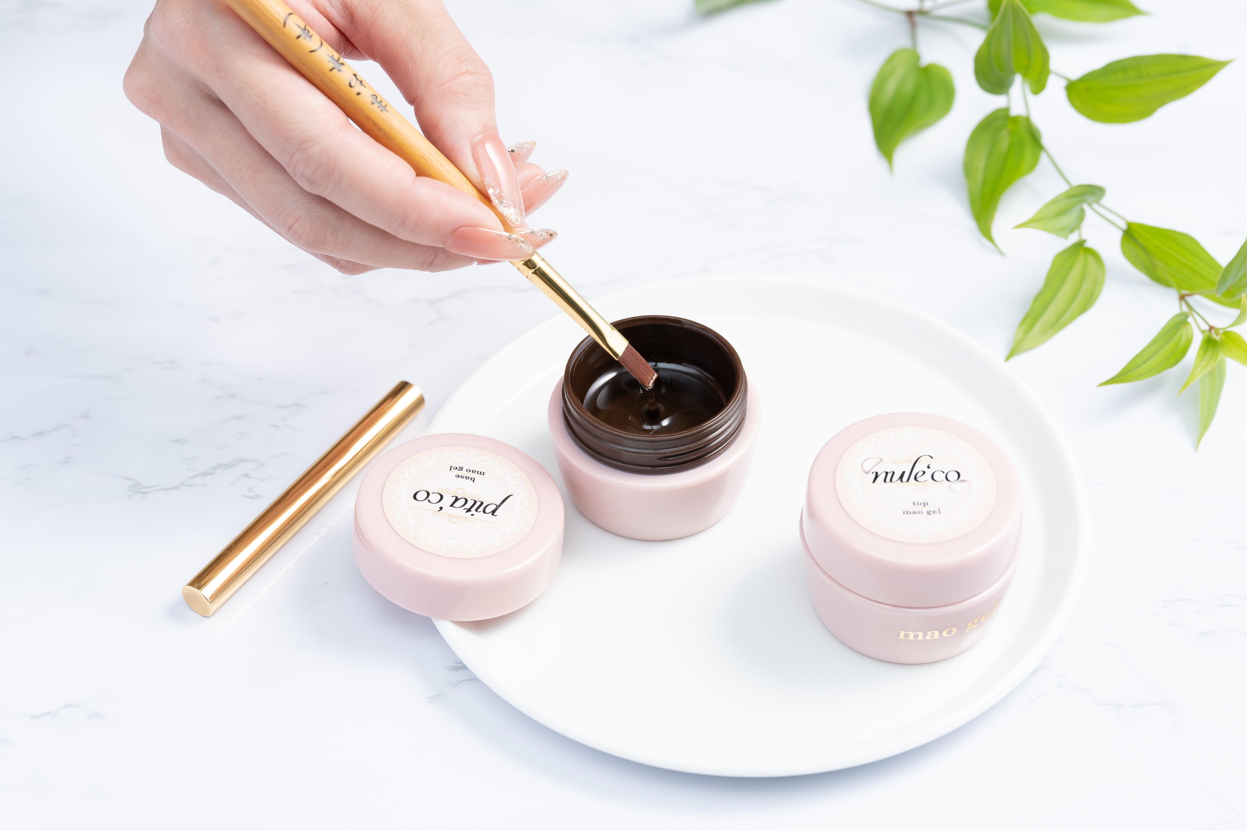 ベース・トップ