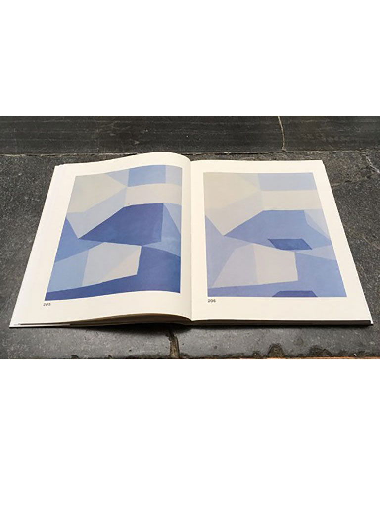 洋書 BOOK Multiple Densities / Katja Mater Amazon | Katja Mater