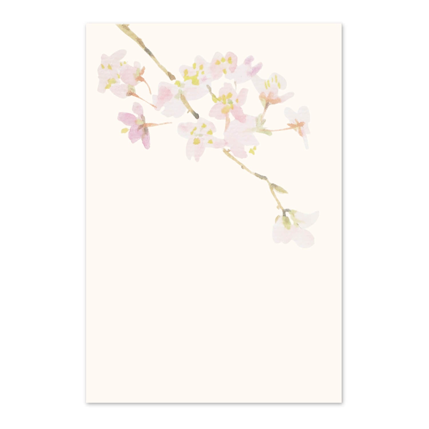 めでたや】季節の絵はがき 春 桜 – めでたやオンラインショップ