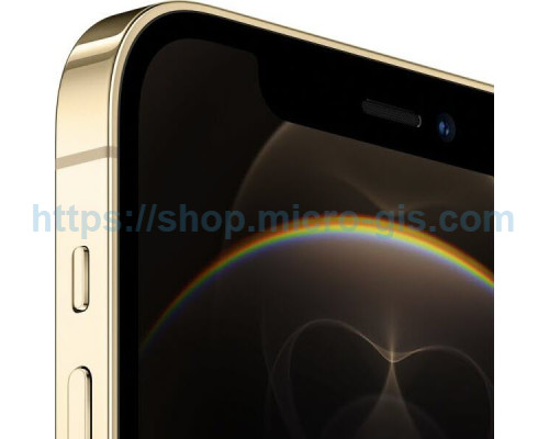 Apple iPhone 12 Pro Max 256Gb Gold (MGDE3)