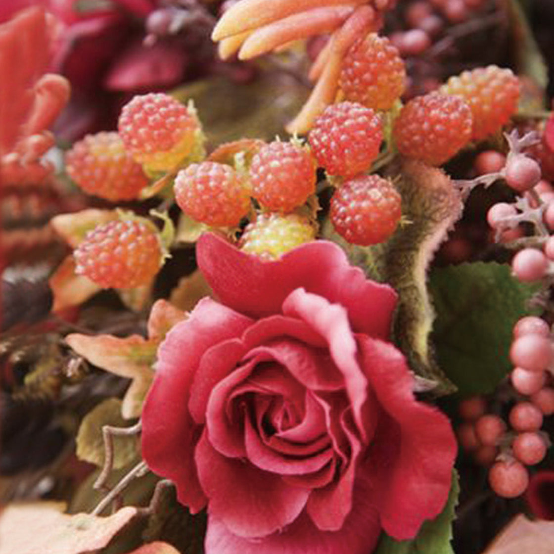 スターターセット（ウッディ） – モアコスメティックスオンラインショップ