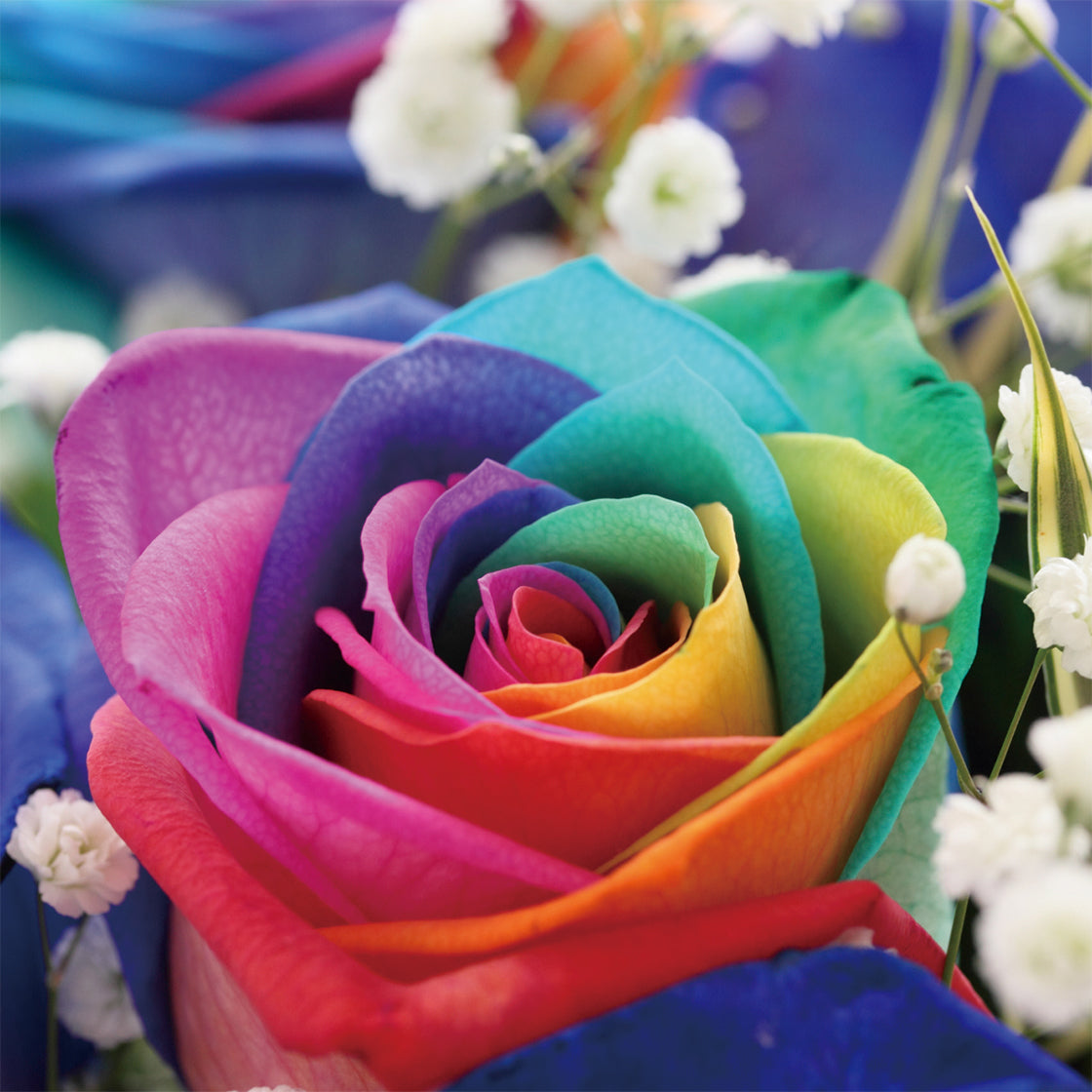 バーデンス アロマ シャンプー レインボーローズ 詰替 500ml – モア