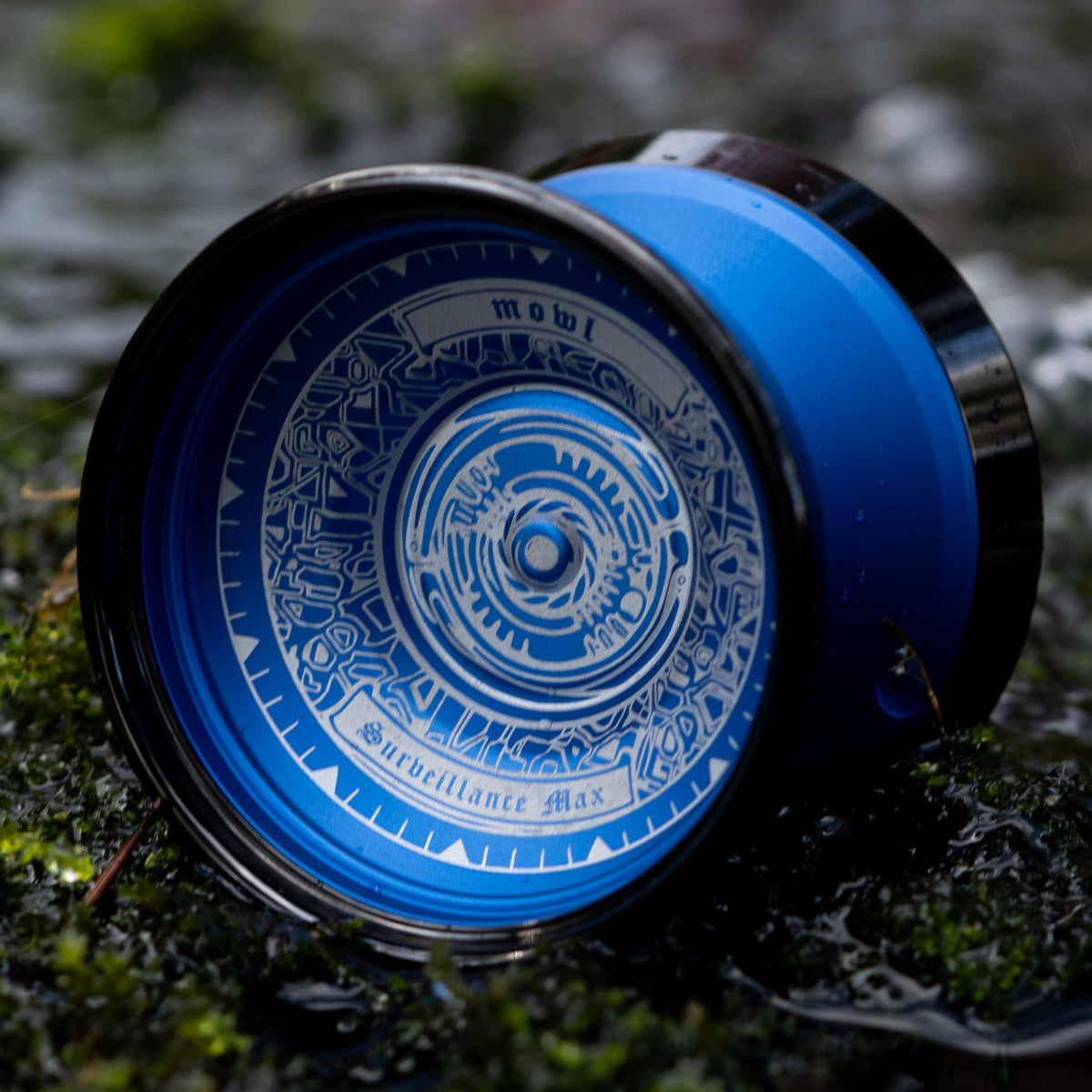 Surveillance – mowl