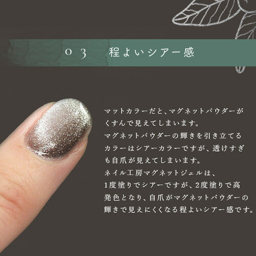 マグネットネイル 全20色 ジェルネイル マグネットネイル カラージェル