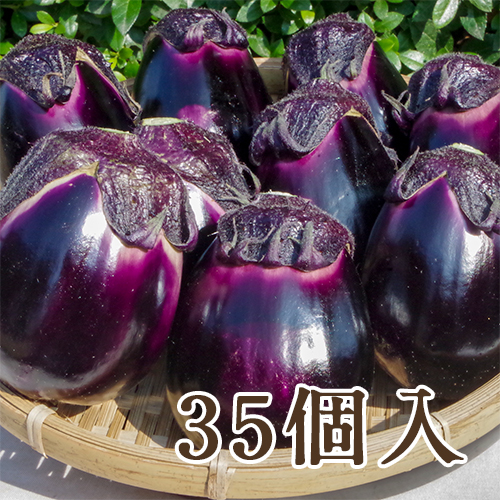 新潟直送計画】新潟県産なす 黒十全茄子 – やまちゃん農園