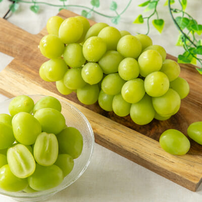 新潟直送計画】新潟県産シャインマスカット – Ripi farm