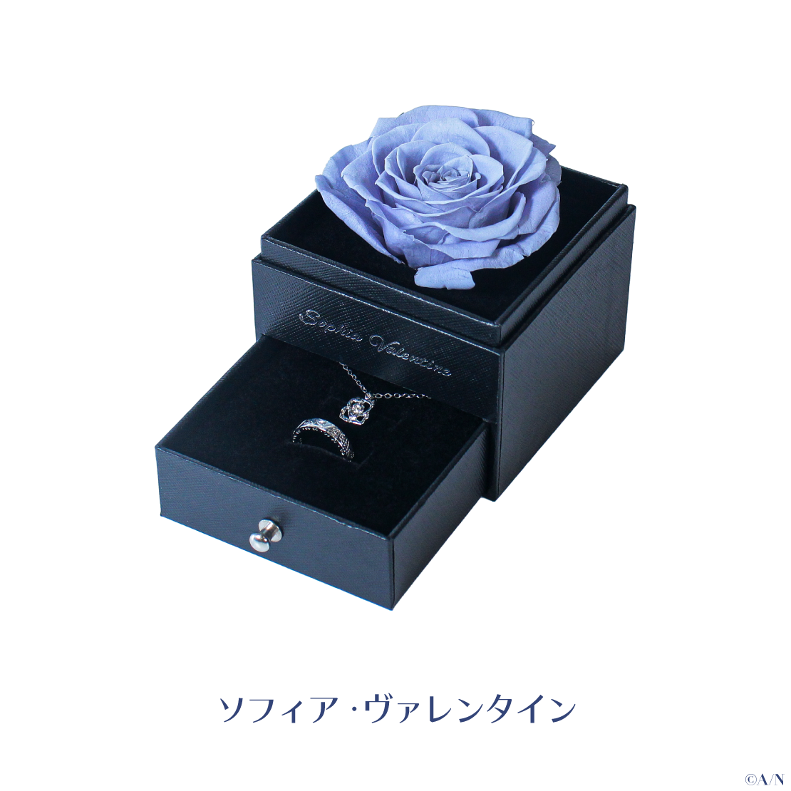 2024年6月お届け分】【ジューンブライド2024 ～Rose Ribbon Knot