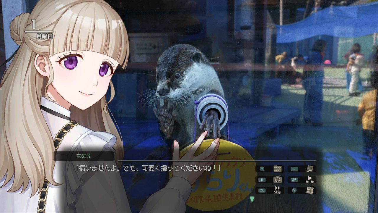 Nippon1.jpショップ / Switch『風雨来記5』初回限定版