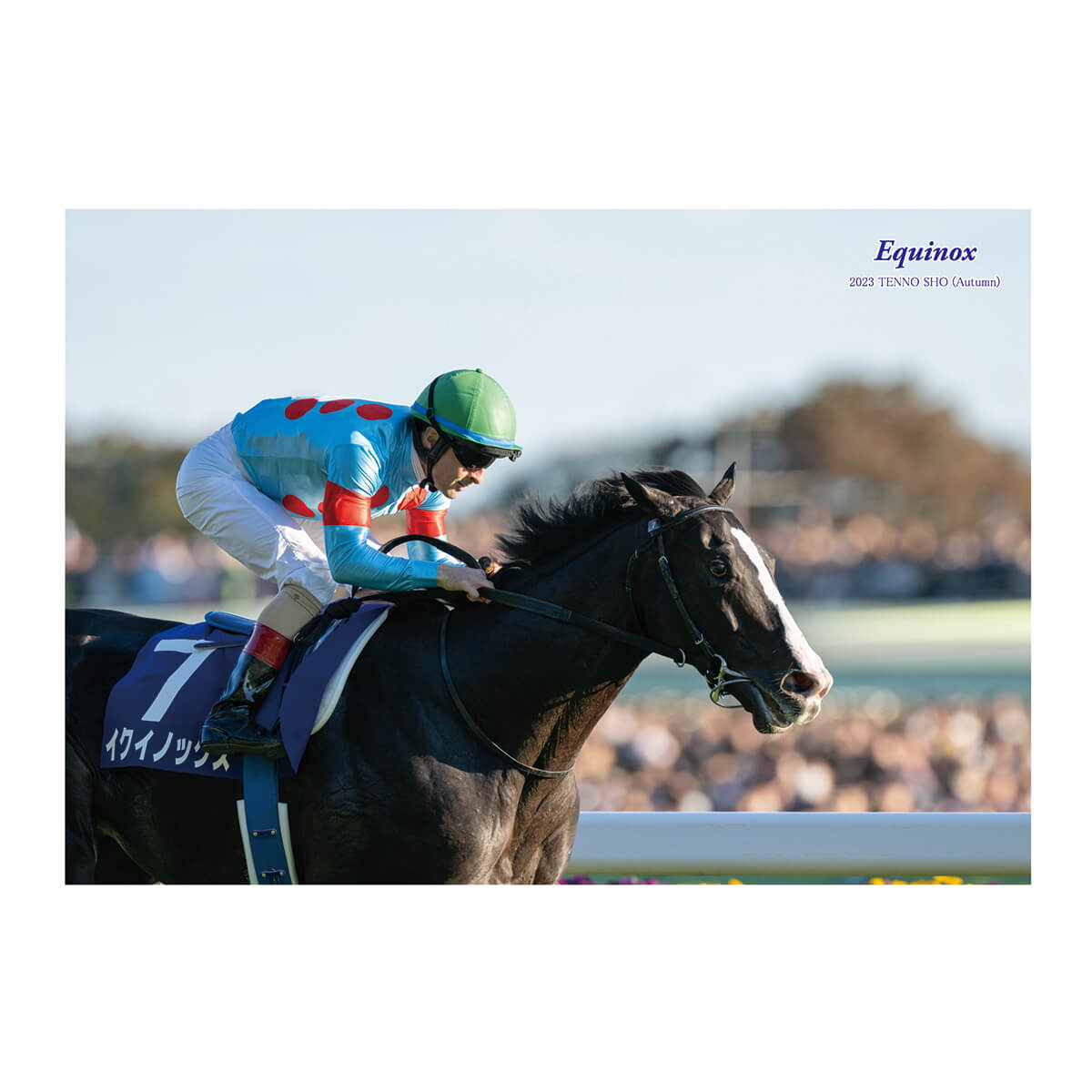 イクイノックス フォトアルバム 天皇賞・秋23 優勝記念品 競馬 JRA