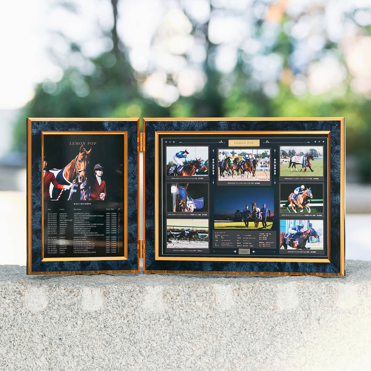 写真デザインパネル レモンポップ 引退記念 - 競馬グッズの通販サイト