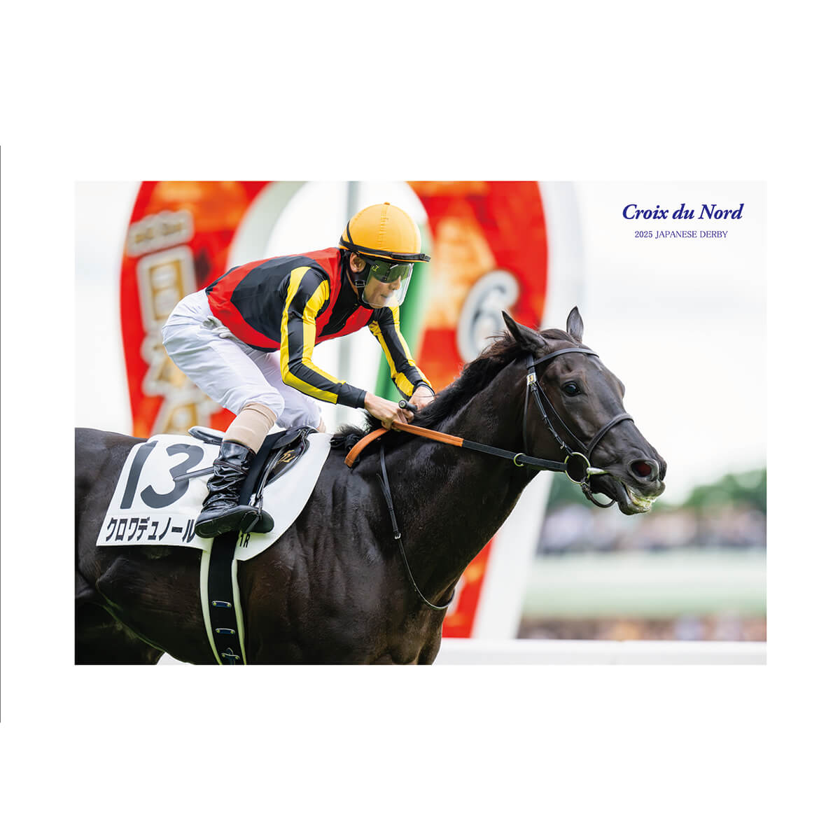 クロワデュノール 新馬戦から日本ダービーまでの現地応援馬券 2025年