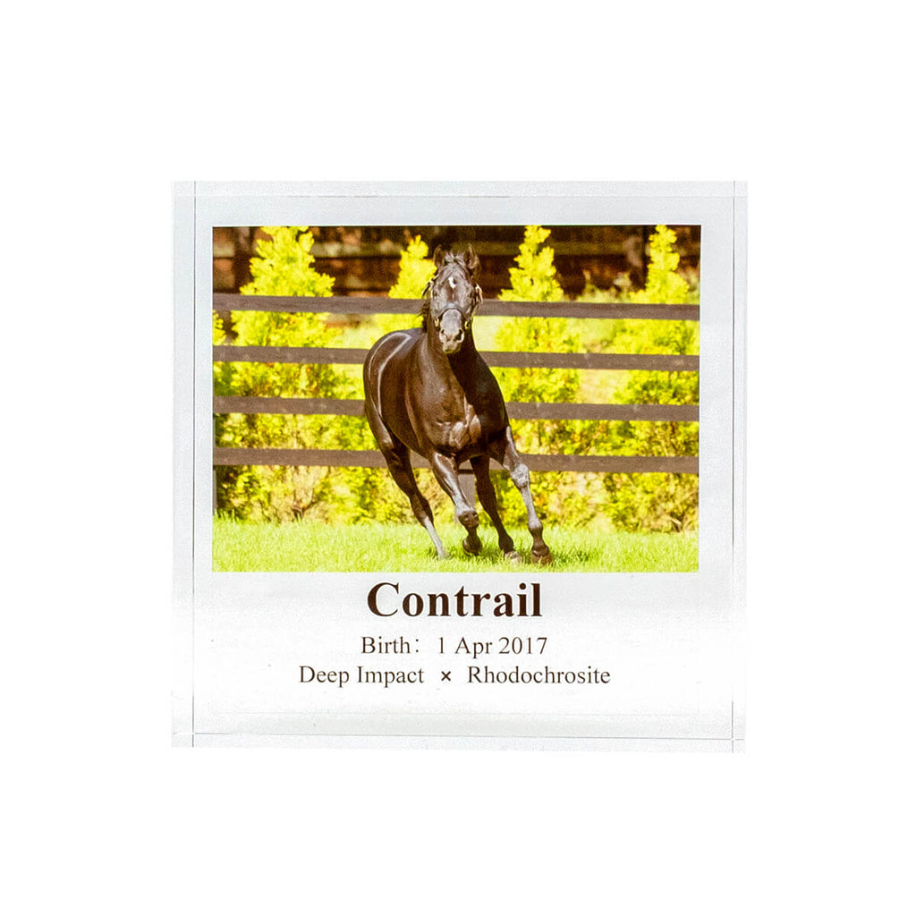 ホースレーシング2022 コントレイル 5枚限定 ホースレーシング2022