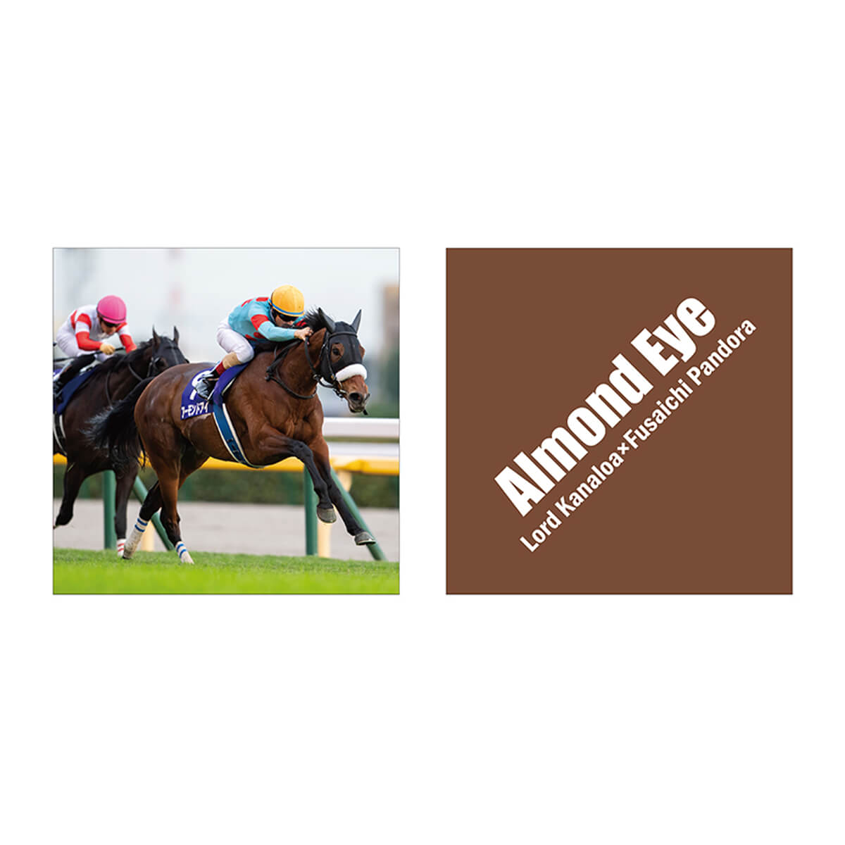 完売しました】HAPPY BAG アーモンドアイ【クレジット決済のみ