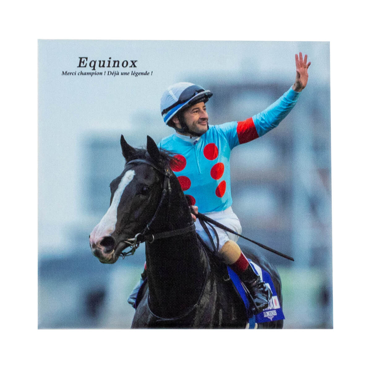 キャンバスボード イクイノックス 引退記念 - 競馬グッズの通販サイト