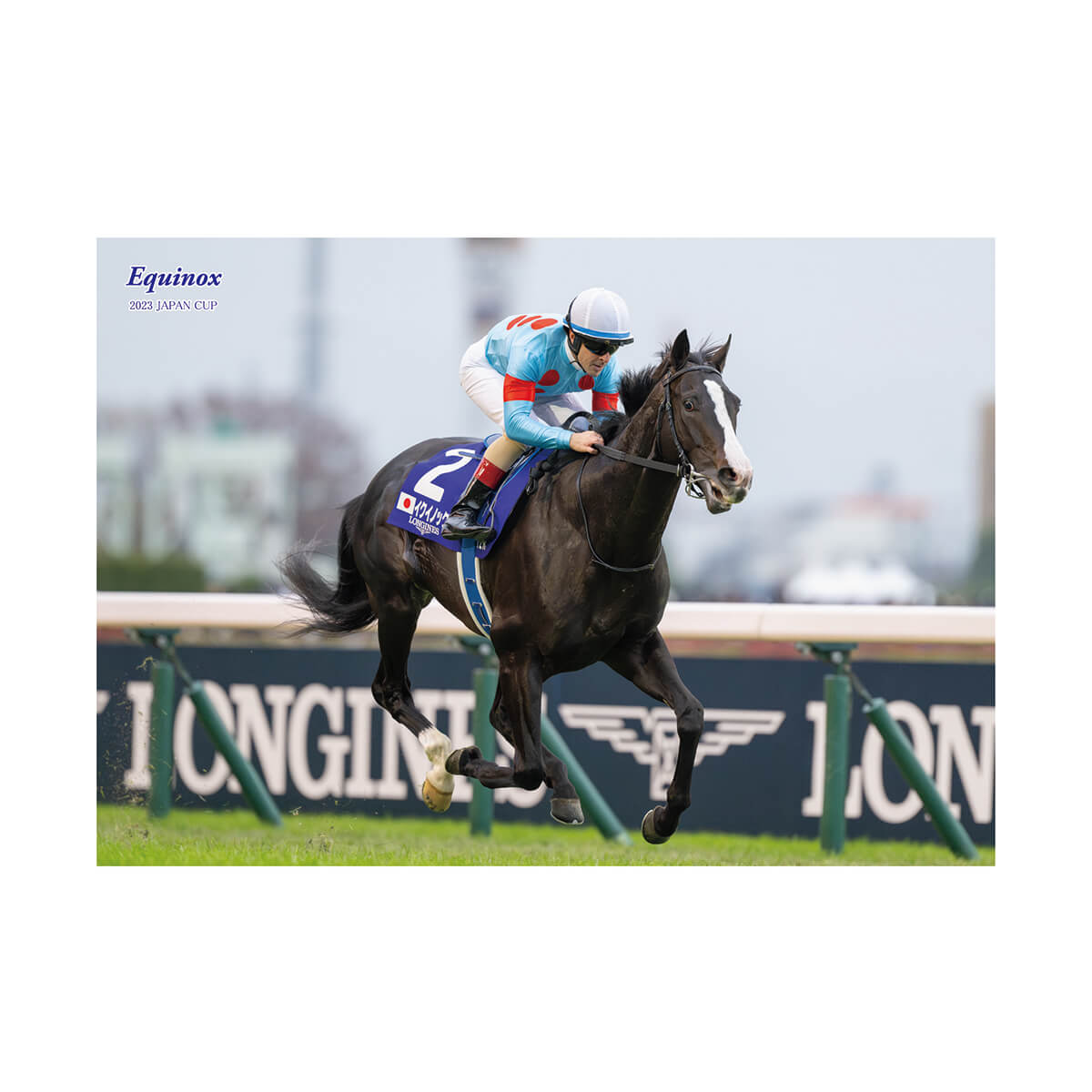 オリジナルポストカード イクイノックス ジャパンカップ2023 - 競馬