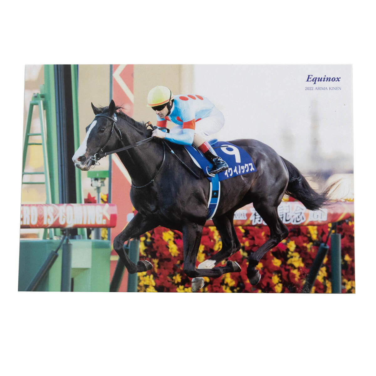 オリジナルポストカード イクイノックス 有馬記念2022 - 競馬グッズの