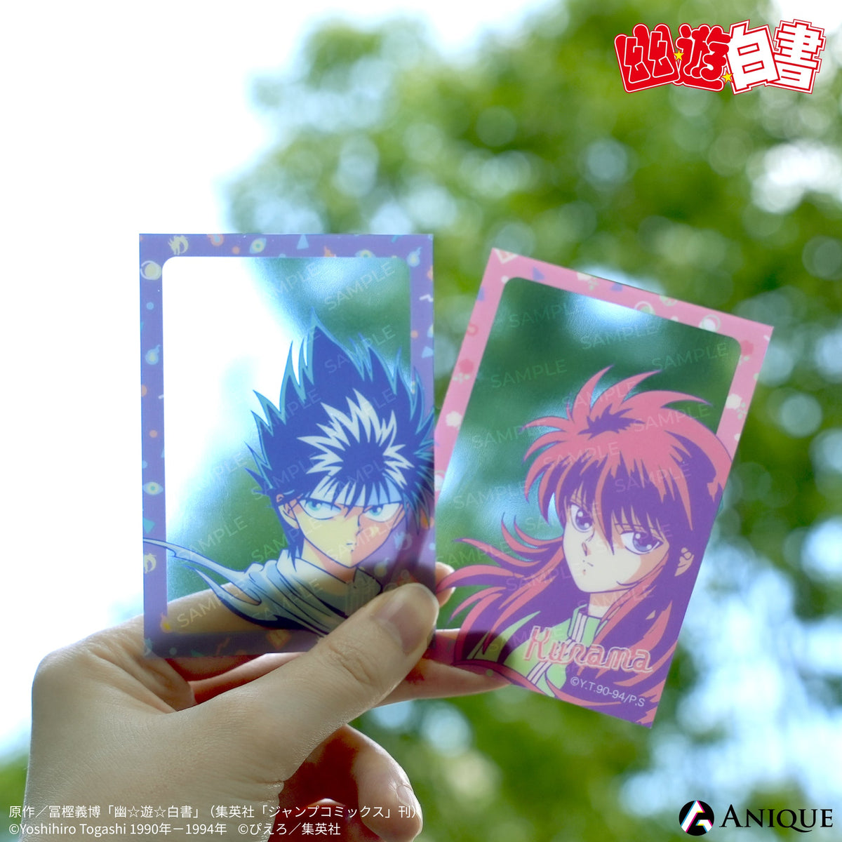 A745】幽遊白書 パーフェクトコレクションカード クリアカード 146枚