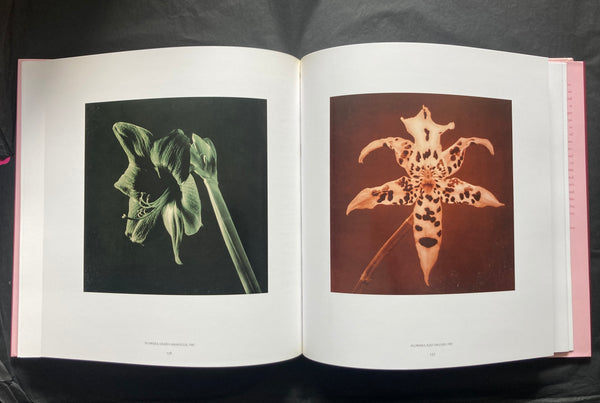 Robert Mapplethorpe, Pistils – Claire de Rouen