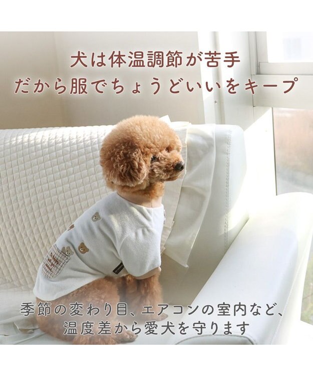 スヌーピー サーモキープ お顔コミックTシャツ 中型犬 大型犬 / PET