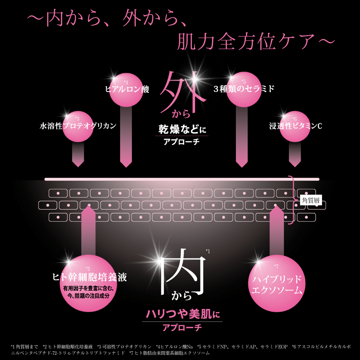 ダイアナ オンラインショップ / プレステージ セラム SC