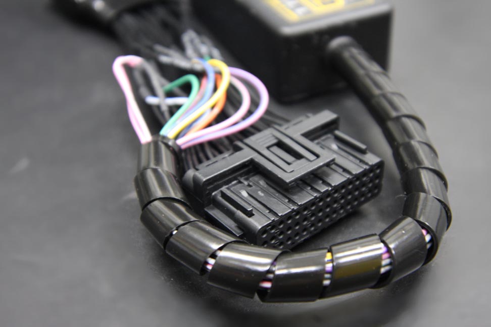 Enigma SemiFull with GIGAイグニションコイル HONDA モンキー125(JB03