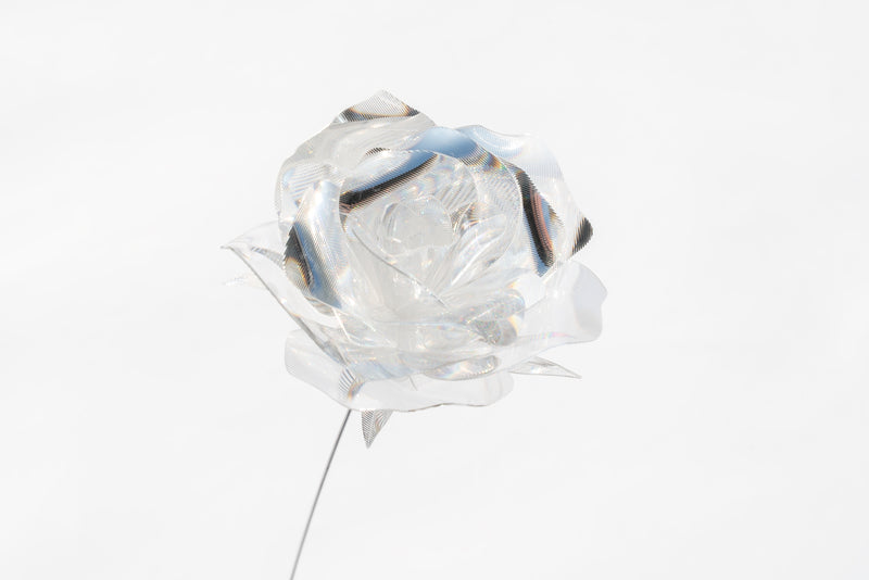 Prism Flower #1 / Rose – EMISSION