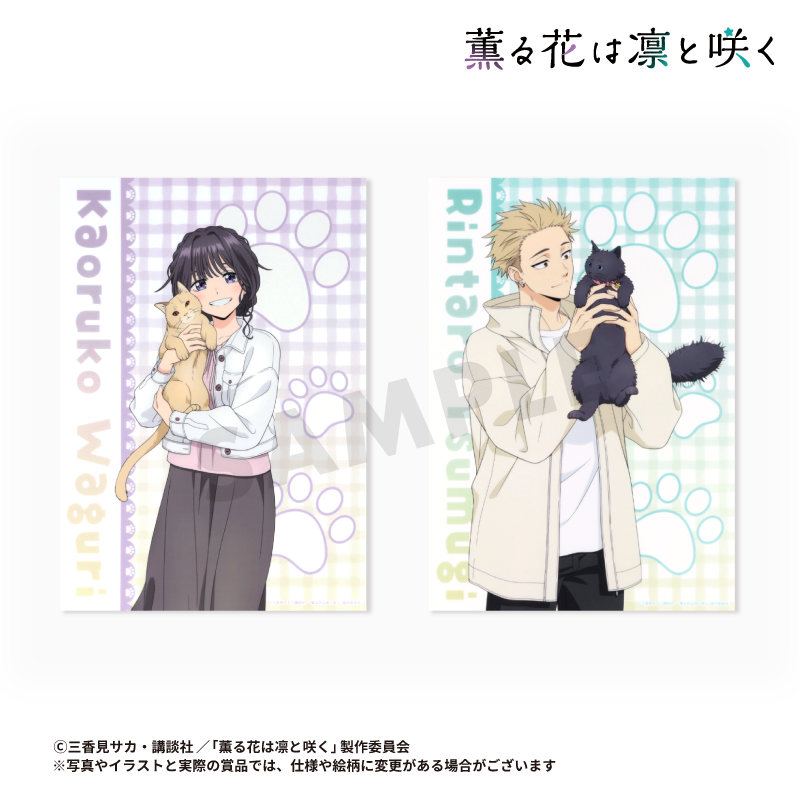 TVアニメ「薫る花は凛と咲く」