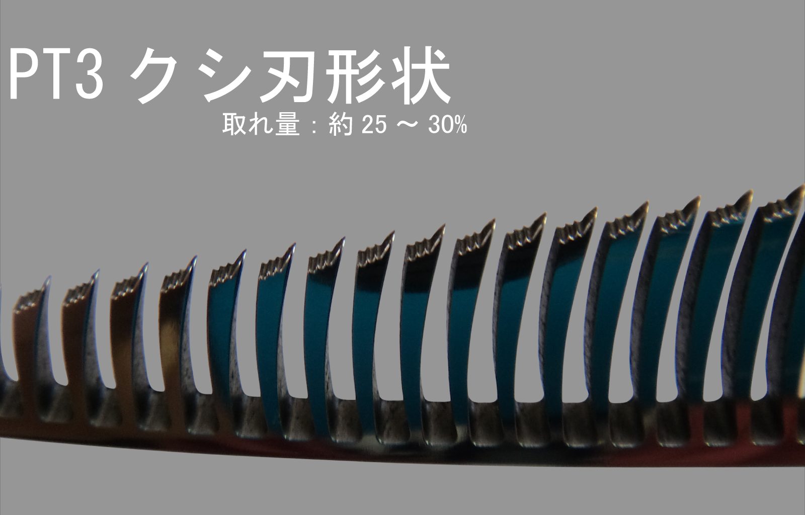 PTシリーズ | シザーズ内山特約代理店 forfelix(フォルフェリクス）