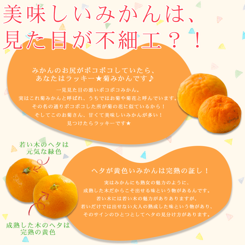 株式会社フレッシュつちやま / みかん 精品 吉田みかん 贈答用 精品 中