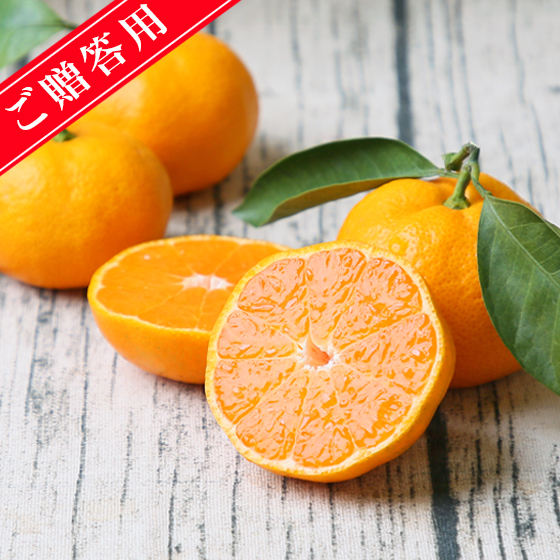 株式会社フレッシュつちやま / みかん 精品 吉田みかん 贈答用 精品 中