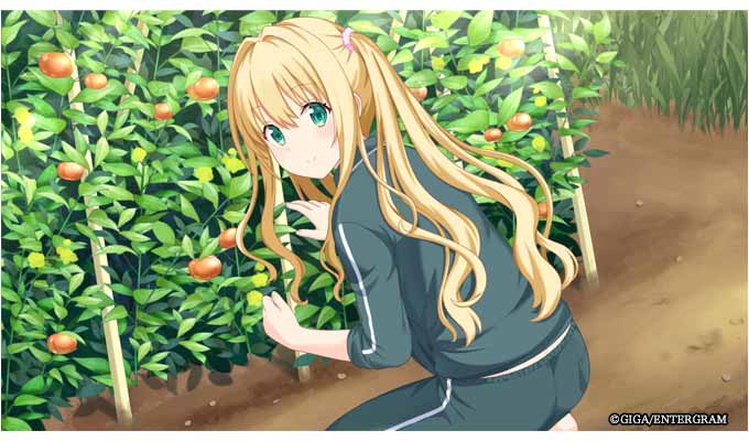 GAMECITYオンラインショッピング：この青空に約束を― Refine 完全生産