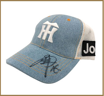 特集】虎ポイントオンラインカウンター - 阪神タイガース公式