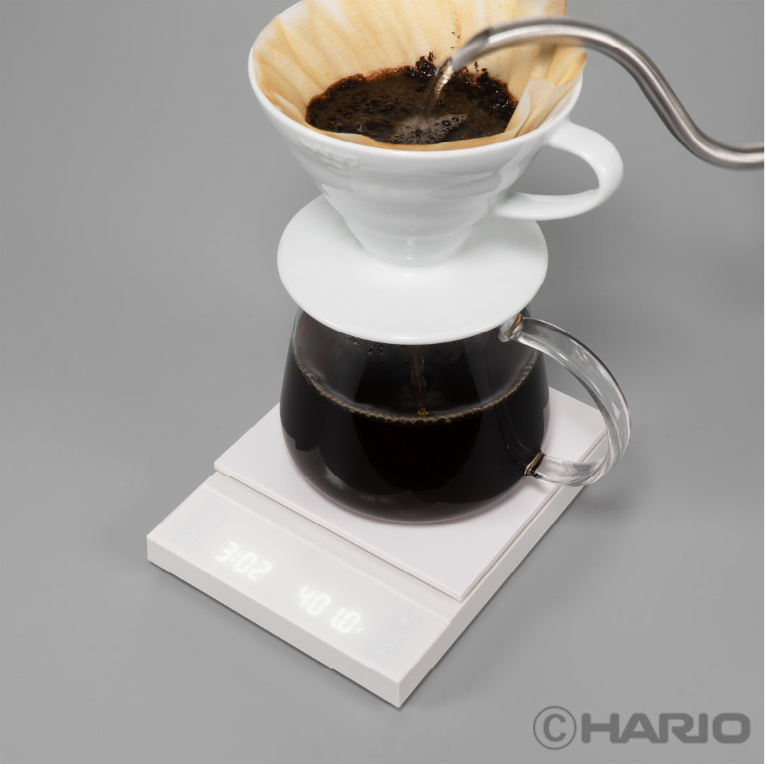 Coffee Scale Polaris – HARIO NETSHOP