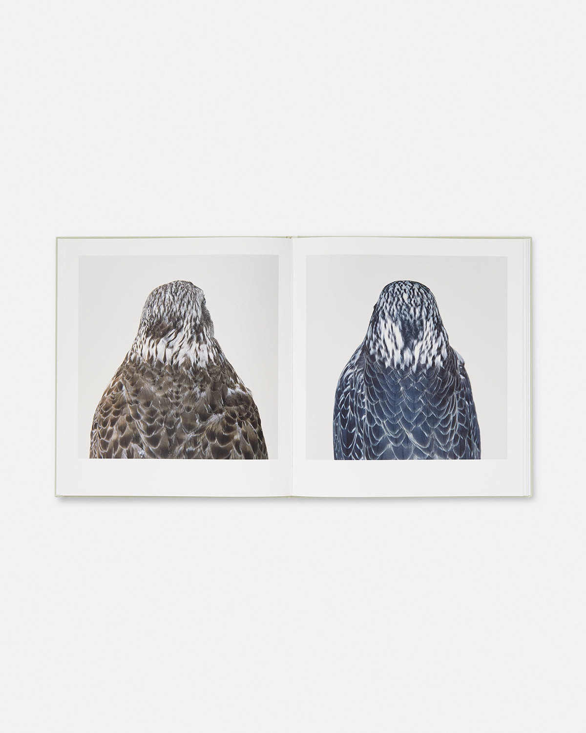 Art Book, Roni Horn: Bird, Hauser & Wirth