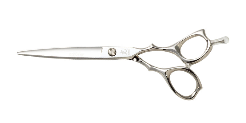 BEAM COSMOS – HIKARI Corporation