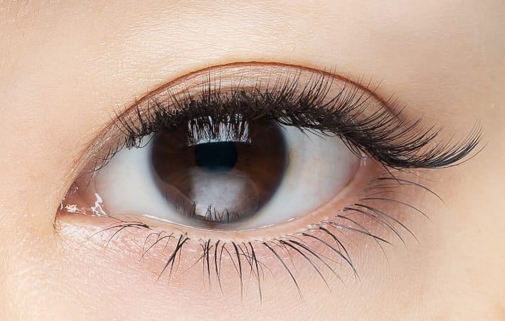 Barbie | まつ毛エクステ商材のMiss eye d'or | HISTORIC