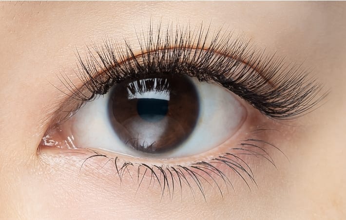 Barbie | まつ毛エクステ商材のMiss eye d'or | HISTORIC