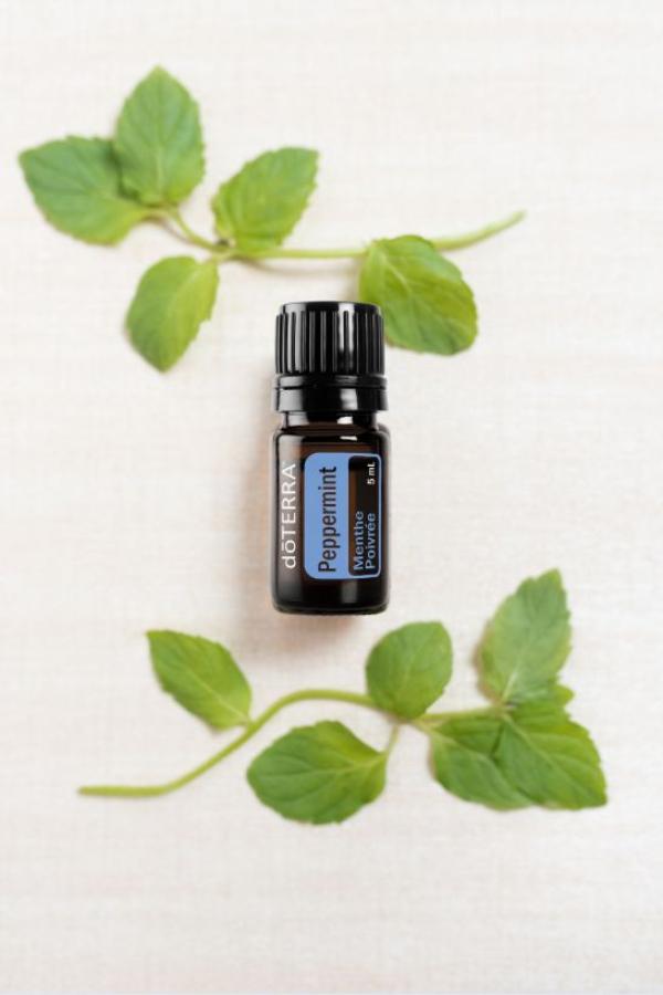 doTERRA Peppermint Essential Oil 5 mL | doTERRA – Home Essential Oils
