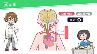 全巻セット】こっそり学ぶ！はじめての理科DVD全6巻【生物】 – 医学