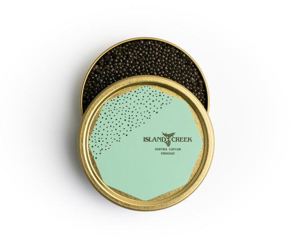 ICO-PolancoOsetra2025-