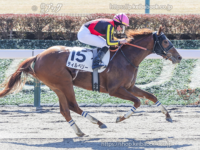 競馬ブックネットSHOP / カラーパネル