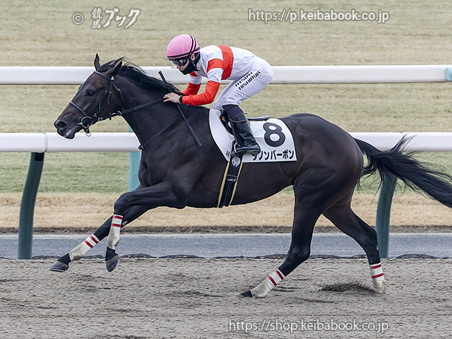 競馬ブックネットSHOP / カラープリント(アルミ枠付き)