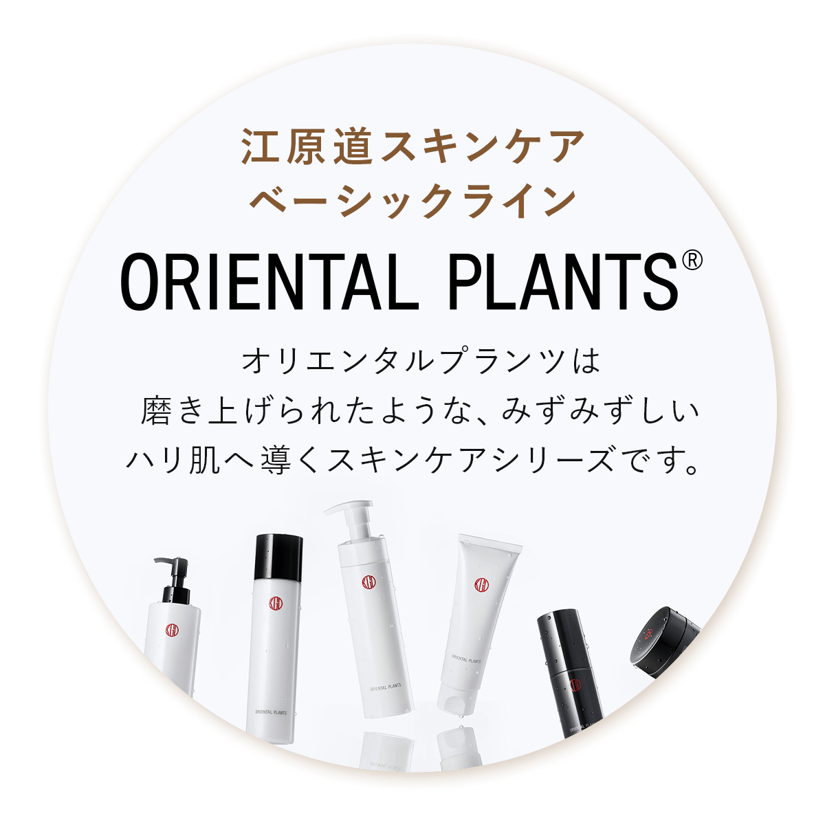 46%OFF 江原道スキンケア ベーシック福袋2026 限定】江原道スキンケア