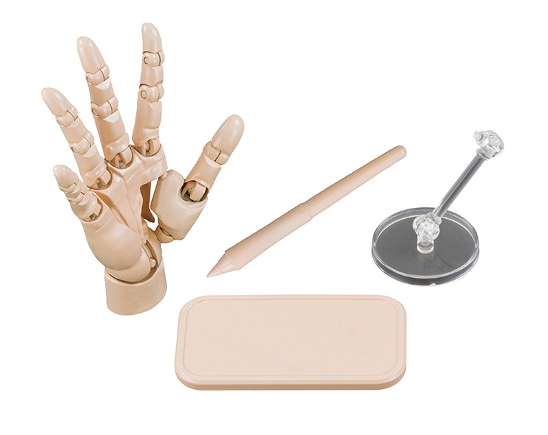 ARTIST SUPPORT ITEM 1/2 ハンドモデル/R: フィギュア｜コトブキヤ