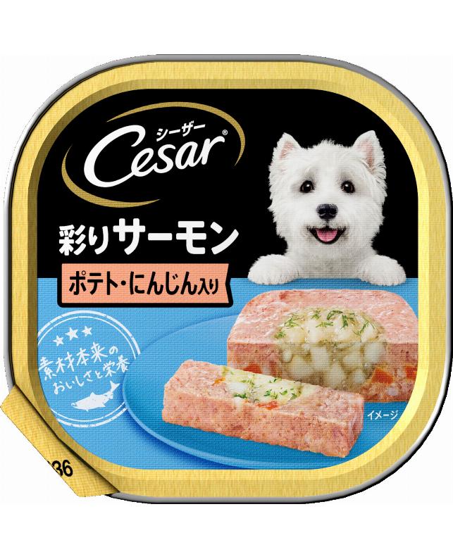 シーザー サーモン風味 ポテトとにんじん入り 100g（4902397822202