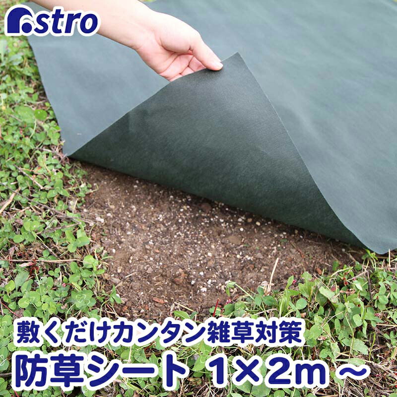 アスレタ様 防草シート一本 602-va2.jpg