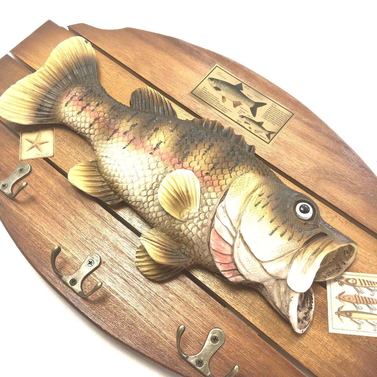 楽天市場】ブラックバス 壁掛け (40cm×24cm) レプリカ 模型 フィギュア