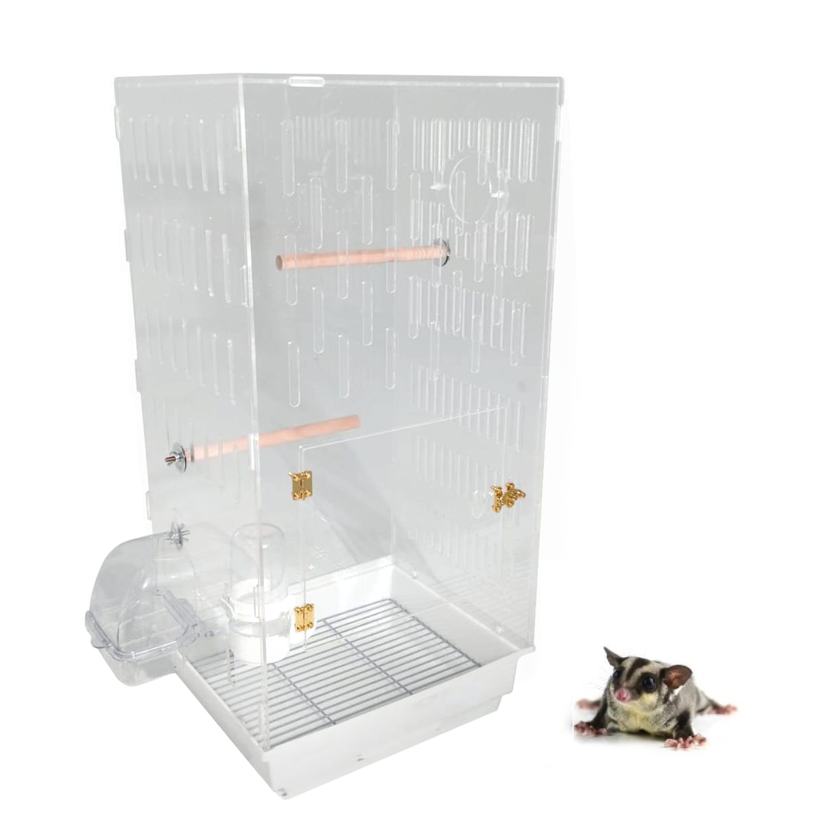 楽天市場】MINORITY DESIGN フクロモモンガ 360度見渡せるアクリル