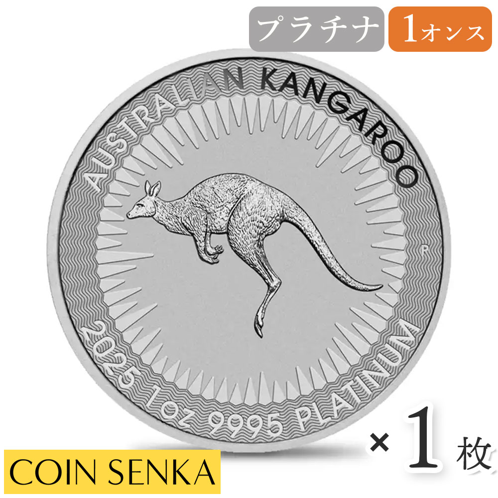 楽天市場】☆即納追跡可☆ オーストリア 2025 ウィーンフィル 100