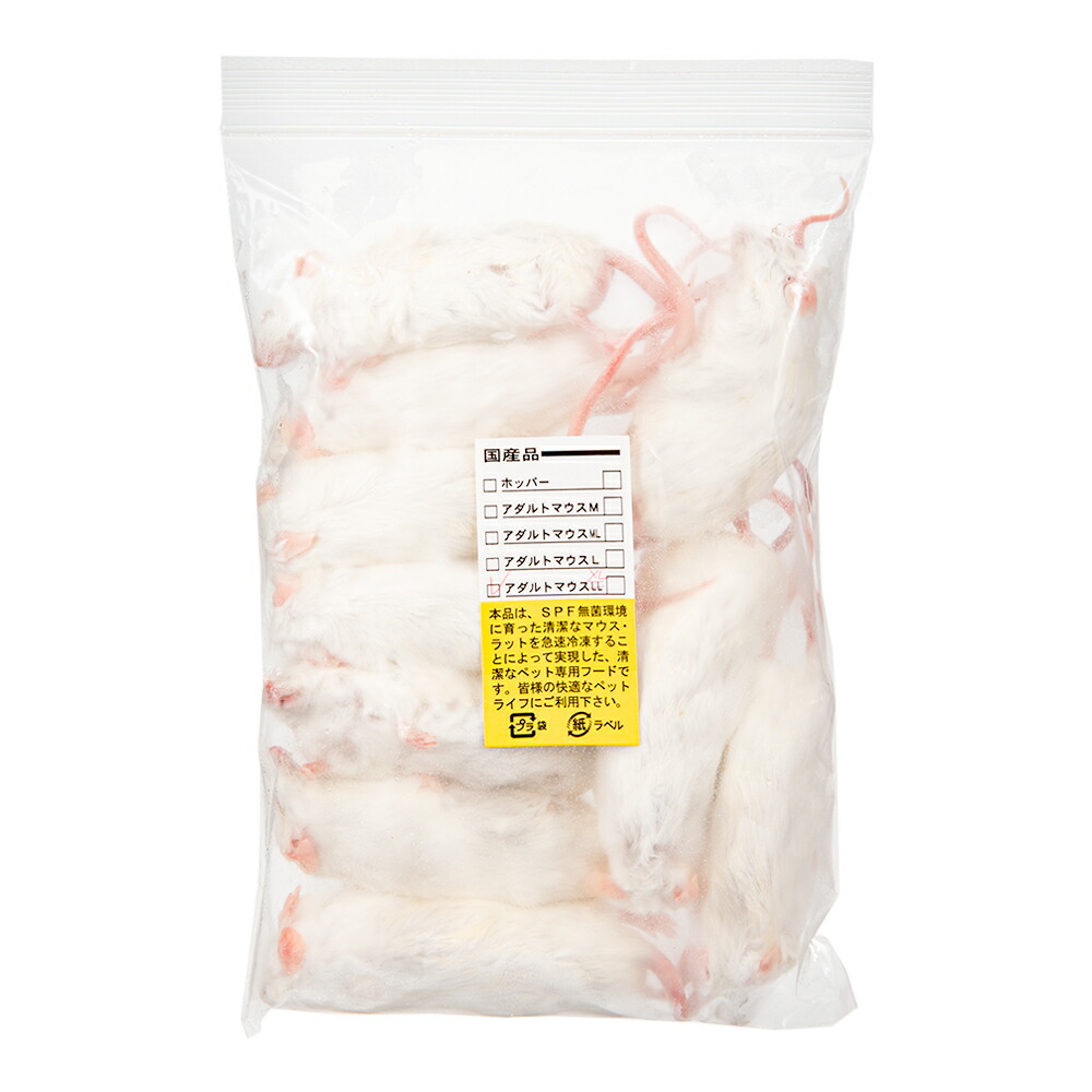 楽天市場】【2／20限定】当選確率2分の1！1等最大100％ 冷凍